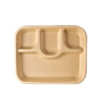 disposable-trays-products